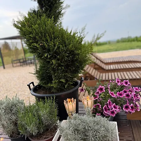 Casa Del Corniolo And Pool Haus Fruska Gora * Cortanovci